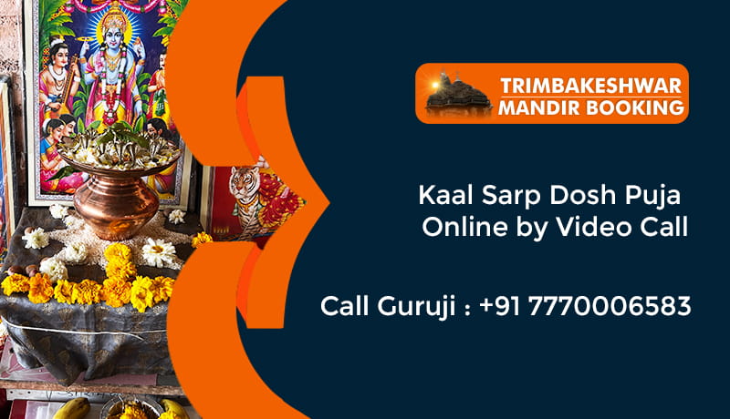 Kaal Sarp Dosh Puja Online by Video Call